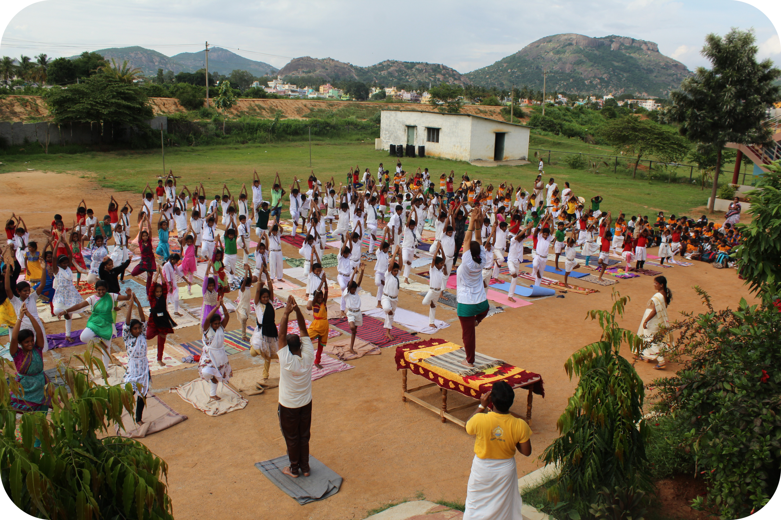 Yoga and wellness session